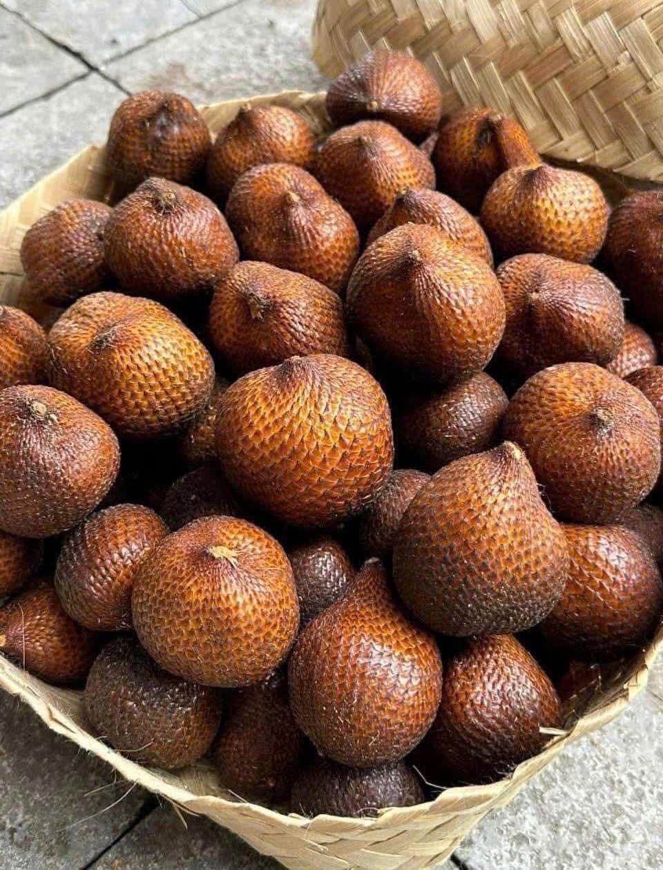 Snake Fruit